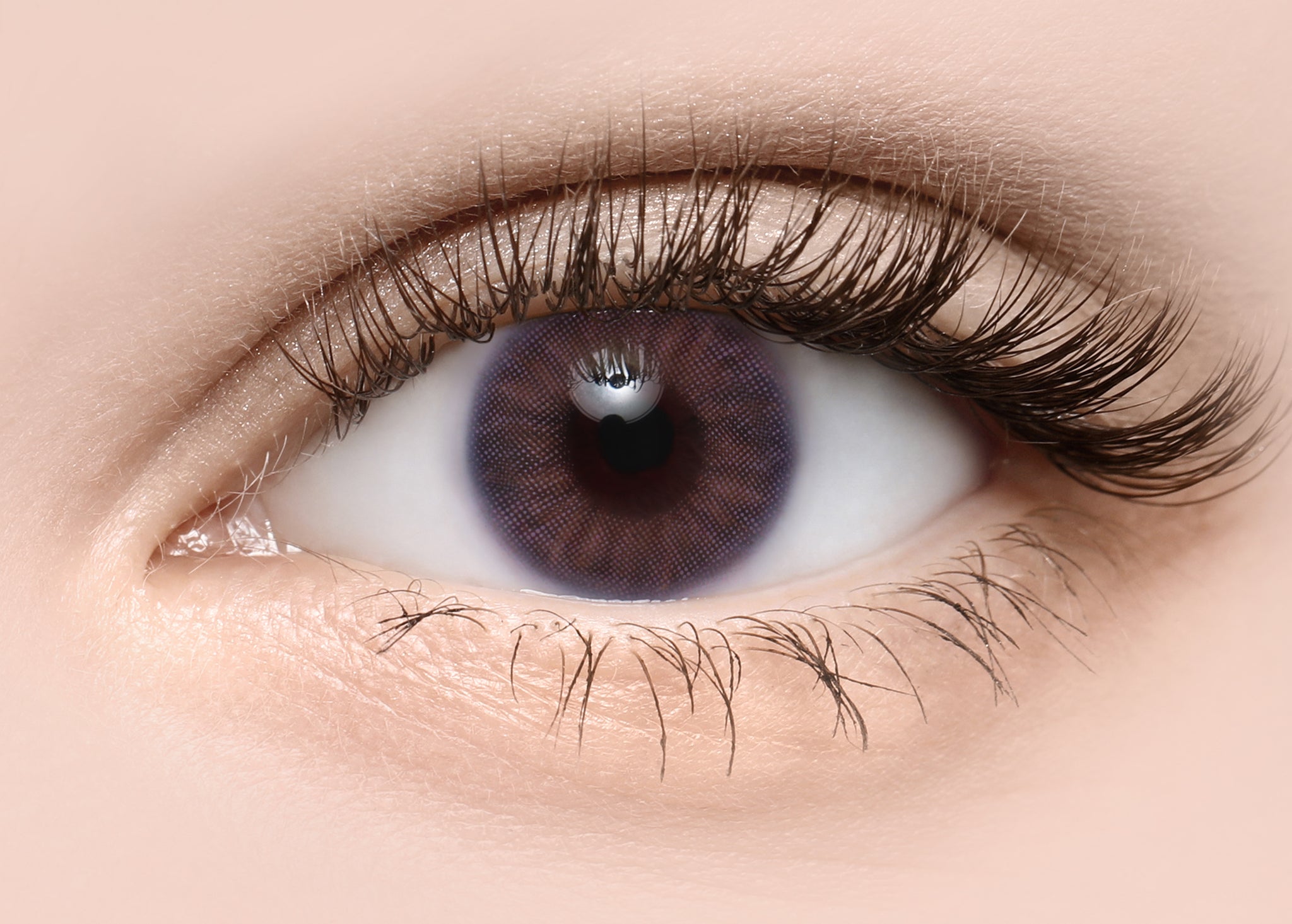 Iris Purple – TORICA by Lensme