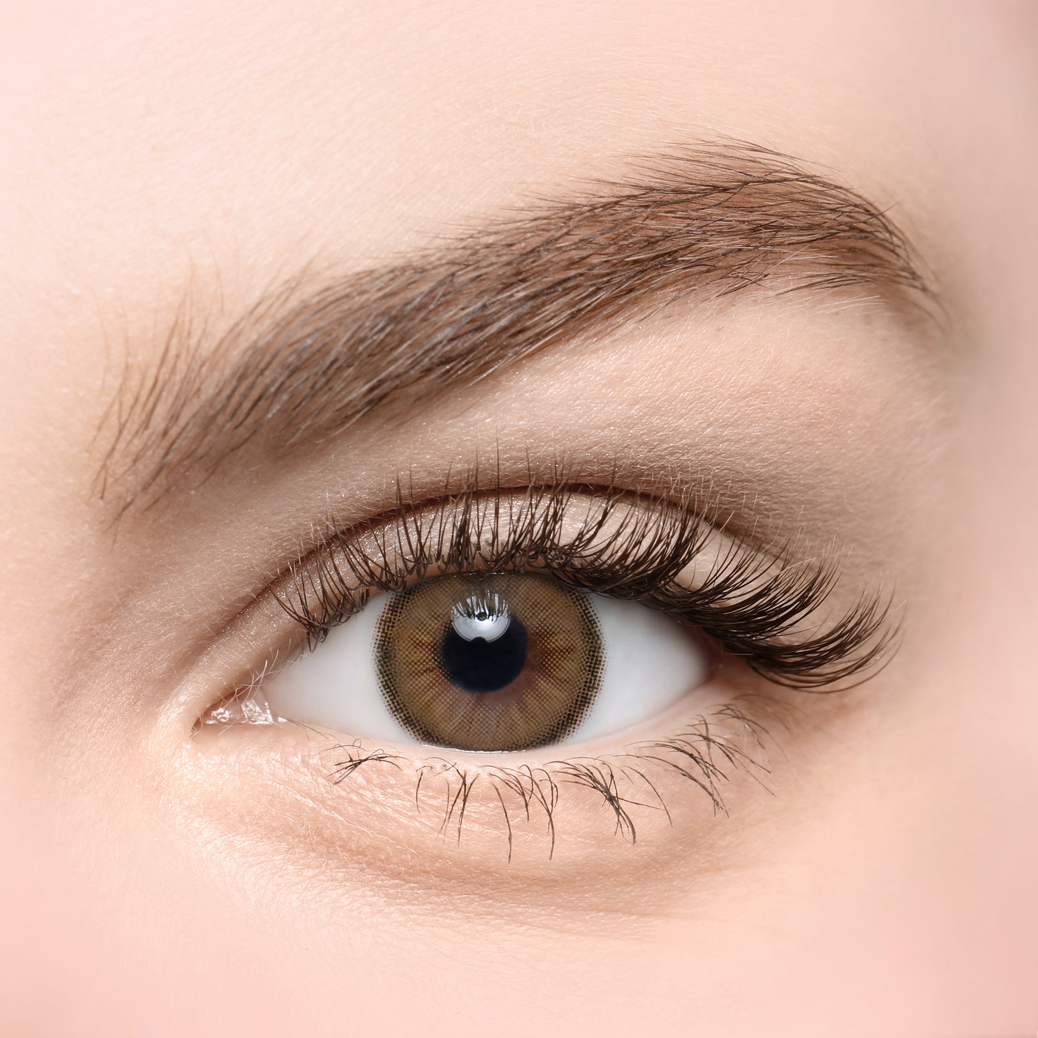 Best Brown Colored Contacts for Blue Eyes - Latte Brown – TORICA