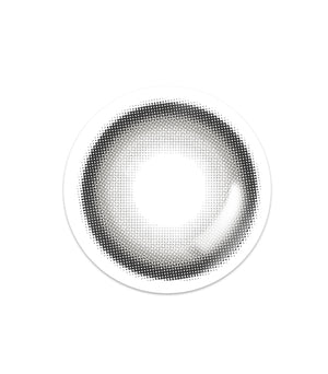 Eye four cat Gray